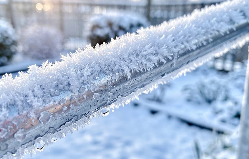 Prévenir le gel avant l'arrivée du froid